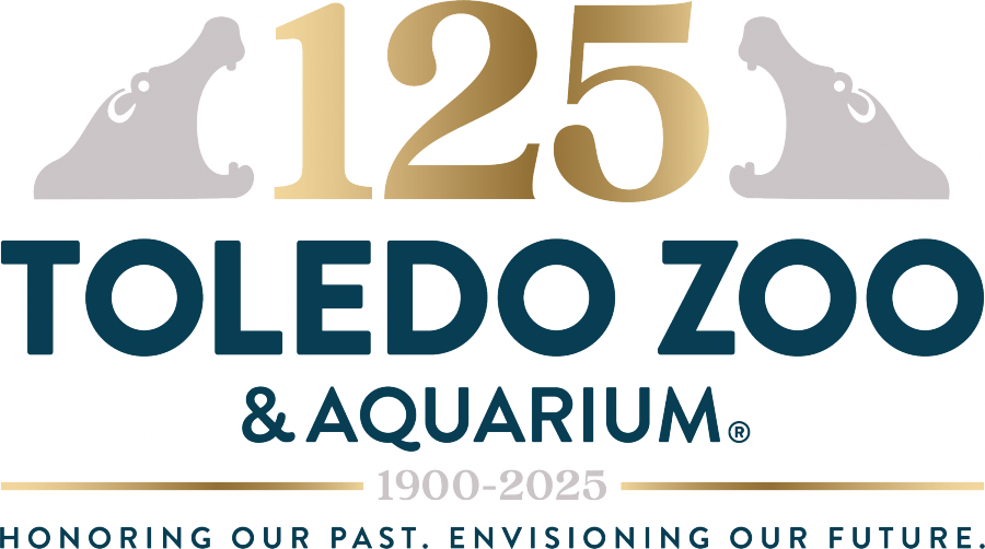 Toledo Zoo’s Expertise Helps Hatch Chicks of One of the World’s Rarest Birds